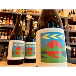 Simple Things Fermentations STF X Wilderness - Into the Wilderness