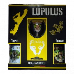 Lupulus Lupulus - Coffret 2*75cl + 1 verre 25cl -  -  - - La Mise en Bière