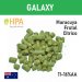 LUPULO GALAXY X 1 KG 