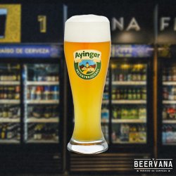 Vaso Ayinger Weissbier 500ml - Beervana