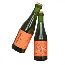 Devaneio do Velhaco Caos Natural Wild Ale 375ml - Cerveja Salvador