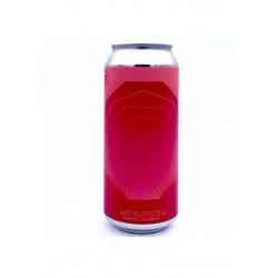 HOMES Brewery METAFORM (raspberry) - Biercab