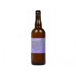 12 Kyjograf Orange Pale Ale  0,75L Sklo - Pivovar Mazák