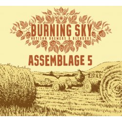Burning Sky Assemblage 5 Magnum & A6 signed limited edition print - Burning Sky Brewery