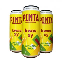 Pinta - Kwas XY - Little Beershop