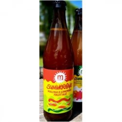 MARYENSZTADT SUMMERTIME Malina Limonka Fruit Ale - Sklep Impuls