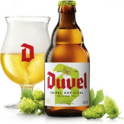 DUVEL TRIPEL HOP CITRA IPA  Belgia - Sklep Impuls