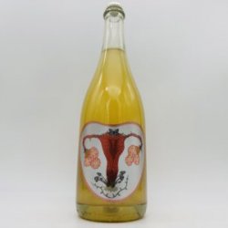 Art + Science Fruitful PetNat Cider 2022 750ml - Bottleworks