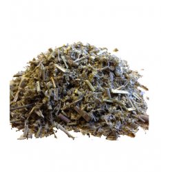 Wormwood - 100g - BrewCraft