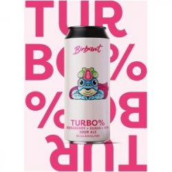 BIRBANT TURBO Gooseberry, Guava, Kiwi Sour Ale - Sklep Impuls