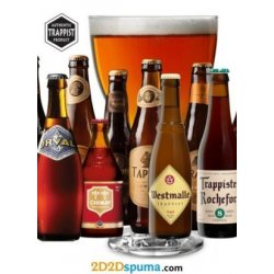 Pack 20 cervezas de Abadía  Trapenses y una copa - 2D2Dspuma