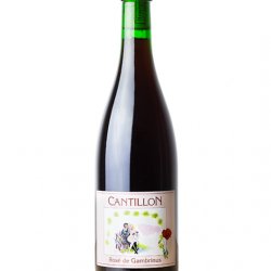 Cantillon  Rose de Gambrinus(2019) - Beer Punch