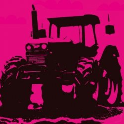 Dok Brewing Company Belle Vie II