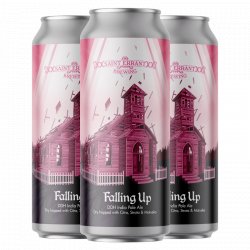 Saint Errant Falling Up 4-pack - The Open Bottle