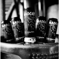 MadCat Sešn Hejzy ČIPA MadCat Sešn Hejzy ČIPA