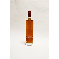 Apimed Medovino Ambrozia Ginger