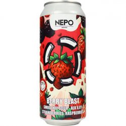 Brouwerij LOST BERRY BLAST