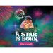 A Star Is Born, 6% - 44cl (PIGGY) A Star Is Born, 6% - 44cl (PIGGY)