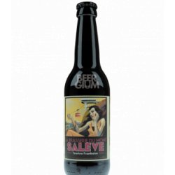 Mont-Salève Tzarine Framboise 33cl - BBF 15-04-2023 - Beergium