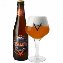 Bush Ambrée Caractère 12% (Casier de 24 x 33cl) - Big Bag Delivery