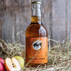 Dorset Nectar- Dabinett Organic Cider  5% - The Black Toad