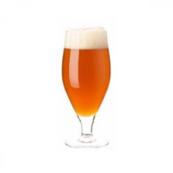 Kit Cervecero Pale Ale - The Craft Drinks Lab