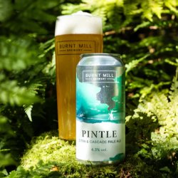 Burnt Mill - Pintle - 4.3% Pale Ale - 440ml Can - The Triangle