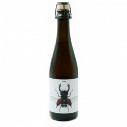 Ritual Lab Fera - Cantina della Birra