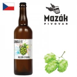 Mazák Single Hop Ale Nelson Sauvin 750ml - Drink Online - Drink Shop