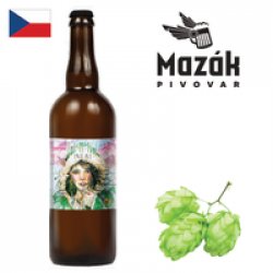 Mazák Zimní Pale Ale 750ml - Drink Online - Drink Shop