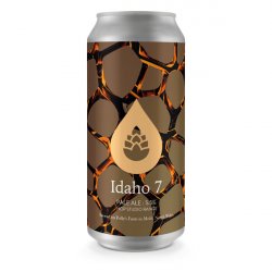 Pollys - Hop Studio: Idaho 7 - 5.5% Pale Ale - 440ml Can - The Triangle