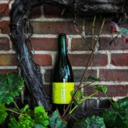 Brouwerij Halve Tamme Solera 23.01 Riesling - Beer Dudes