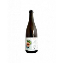 Ammonite - Vinifera XI Gewurztraminer (2021) 75 cl - Bieronomy