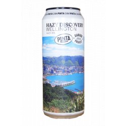 PINTA  Hazy Discovery Wellington - Brother Beer