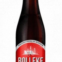 Cerveza De Koninck Bolleke 33cl - La Cerveteca Online