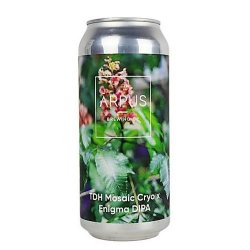 Ārpus TDH Mosaic Cryo x Enigma - 3er Tiempo Tienda de Cervezas