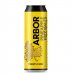 ARBOR ALES Pineapple Fizz Balls 6.0&percnt; 