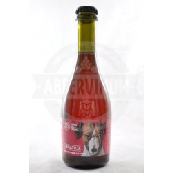 Birra dell