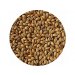 Crisp Amber Malt Crisp Amber Malt