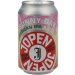 Jopen Sunny Day IPA Blik Jopen Sunny Day IPA Blik