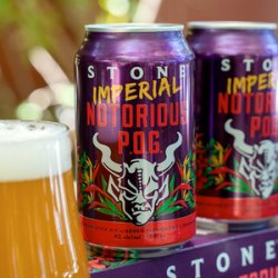 Stone Brewing Co. Stone Imperial Notorious P.O.G - Beer Force