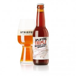 Strieper Craft Beer Company The Uplifting Triple Decker Flying Apparatus Strieper Craft Beer Company The Uplifting Triple Decker Flying Apparatus