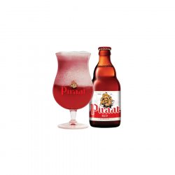 Piraat Red Cerveza Importada - Premium Drinks