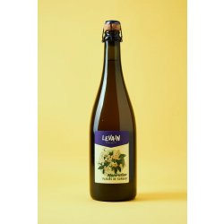Brasserie Levain Macération Fleurs De Sureau Brasserie Levain Macération Fleurs De Sureau