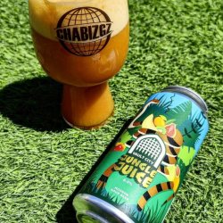 Vault City Brewing Jungle Juice Vault City Brewing Jungle Juice
