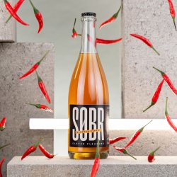 SOBR Woodpepper 75cl 0% - Cideris