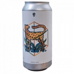 La Pirata Brewing SYMBIOSIS