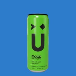 NuWave Mood Enhancing Alcohol Free Hazy Pale Ale (0.5% ABV) - Wise Bartender