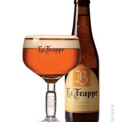 La Trappe Blonde 6,5% 33 cl - Trappist.dk - Skjold Burne