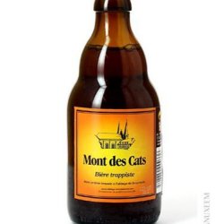 Mont des Cats 7,6% 33 cl - Trappist.dk - Skjold Burne